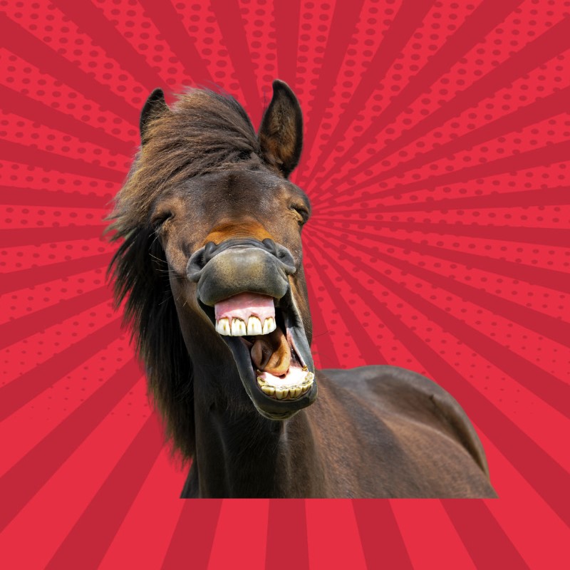 Jó vicc - MKKP - egyszeri adomány